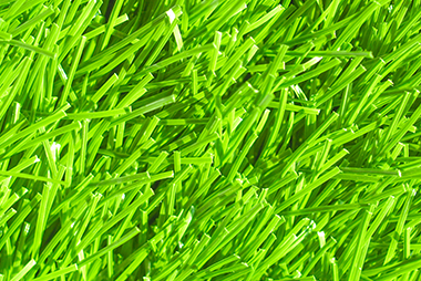 landscaping landscaping