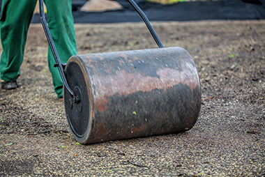 landscaping landscaping